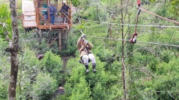 gallery/sd card nazley 974