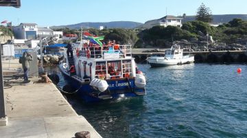 gallery/sd card nazley 808