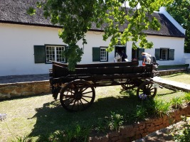 gallery/sd card nazley 191