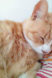 gallery/fb_img_1479054755461